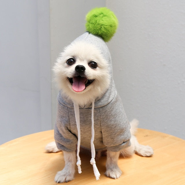 Fruit Pet Coat Hoodies - K&L Trending Products