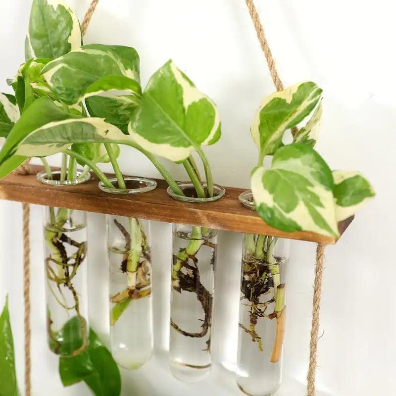 Wall Hanging Test Tube Propagation Station - K&L Trending Products