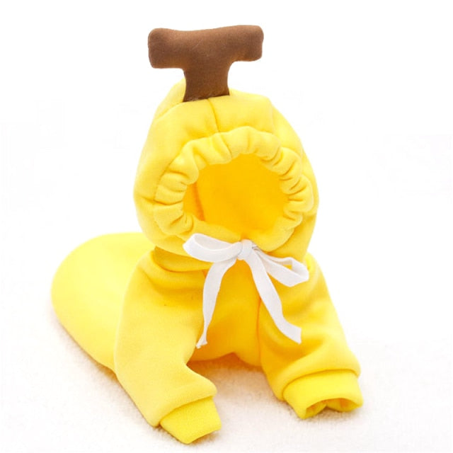 Fruit Pet Coat Hoodies - K&L Trending Products