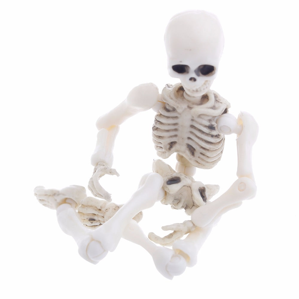 Movable Mr. Bones Skeleton - K&L Trending Products