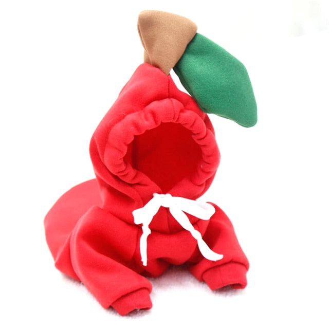 Fruit Pet Coat Hoodies - K&L Trending Products