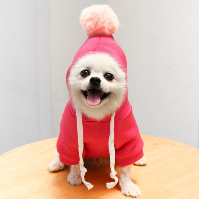 Fruit Pet Coat Hoodies - K&L Trending Products