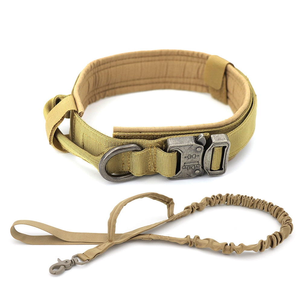 Dog Collar - K&L Trending Products