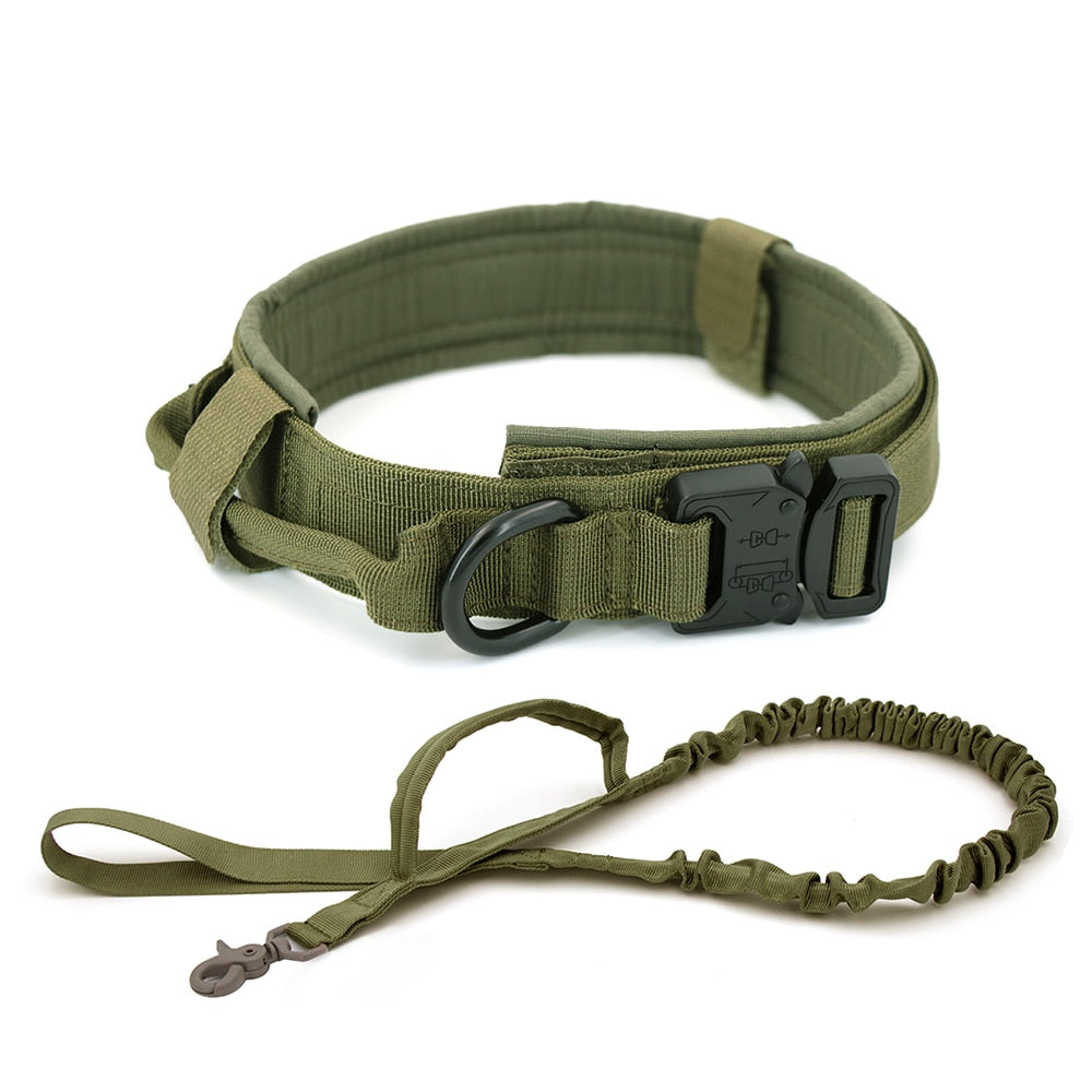 Dog Collar - K&L Trending Products