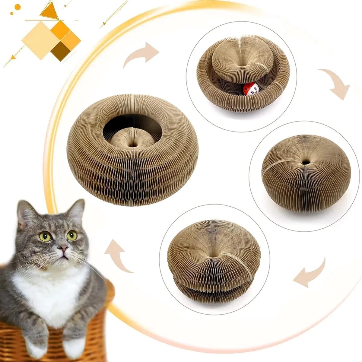 Magic Organ Cat Toy Cats Scratcher - K&L Trending Products