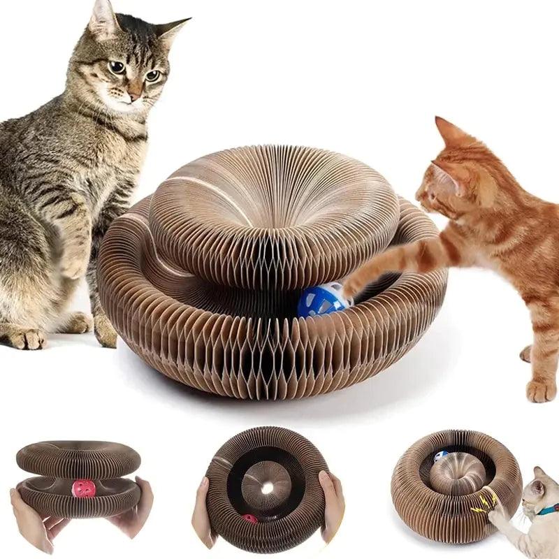 Magic Organ Cat Toy Cats Scratcher - K&L Trending Products