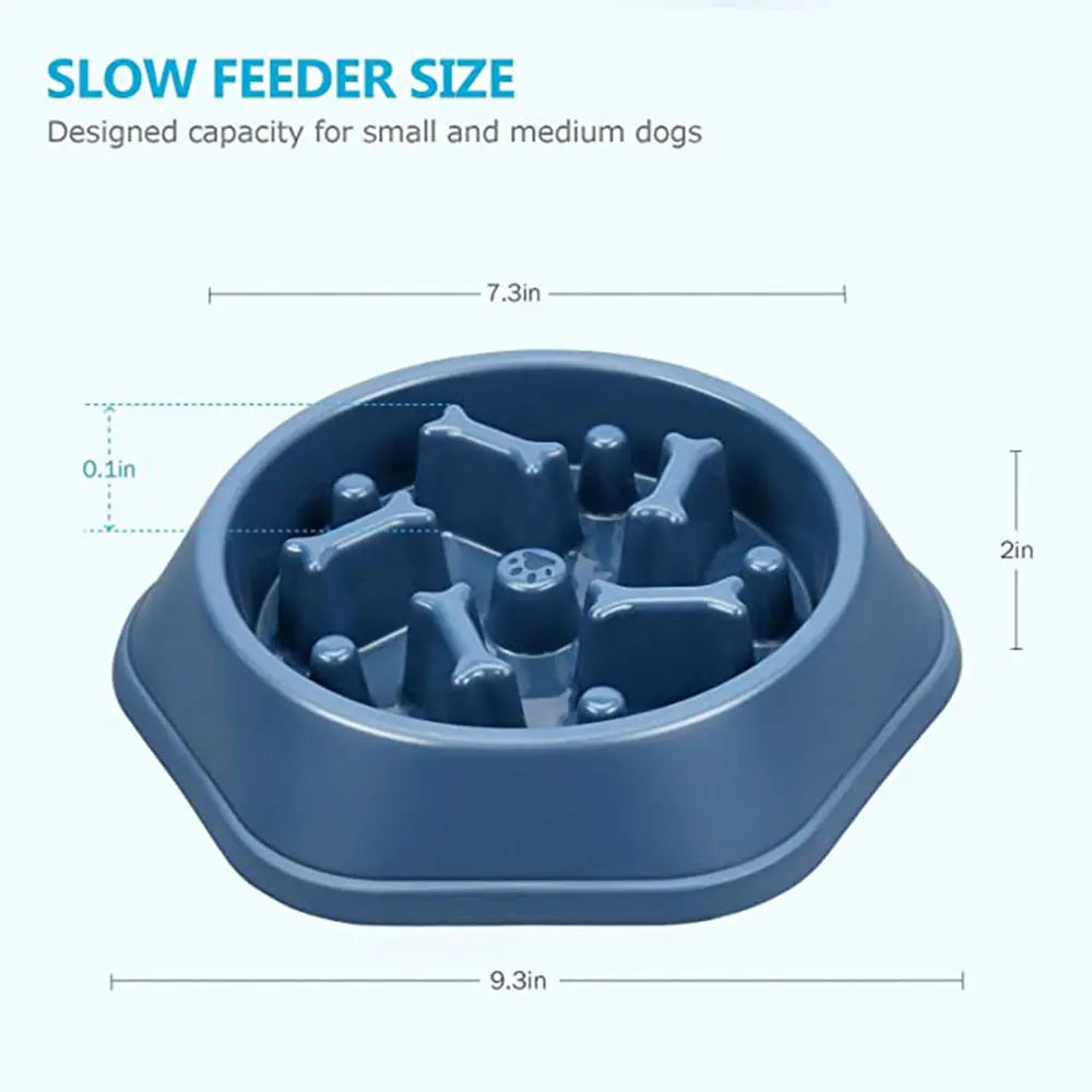 Slow Feeder Bone Design Pet Bowl - K&L Trending Products