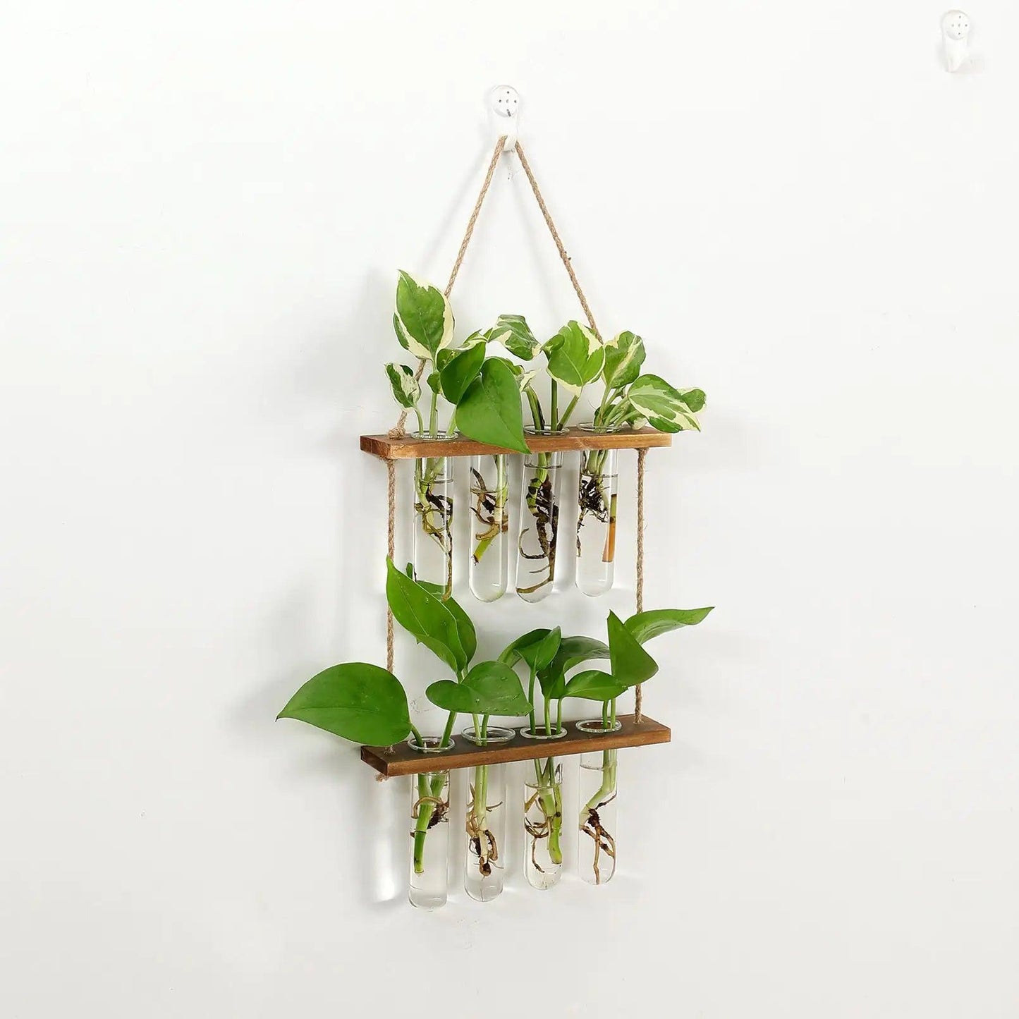 Wall Hanging Test Tube Propagation Station - K&L Trending Products