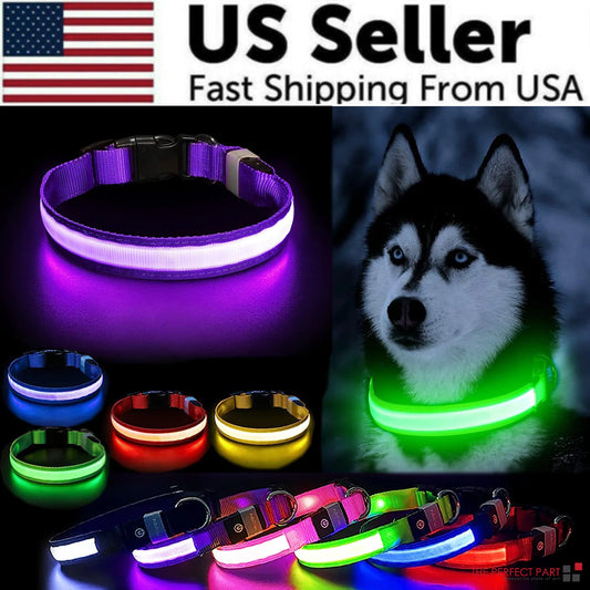 LED Adjustable Dog Collar Blinking Flashing Light Up Glow Pets Safety Waterproof - K&L Trending Products