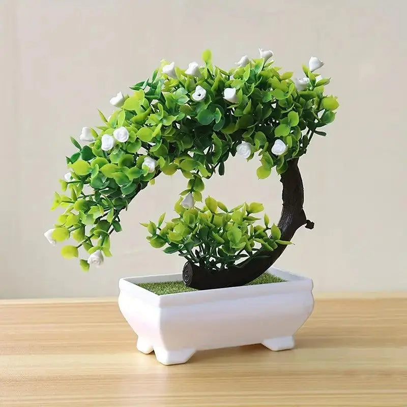 Small Bonsai Tree - K&L Trending Products
