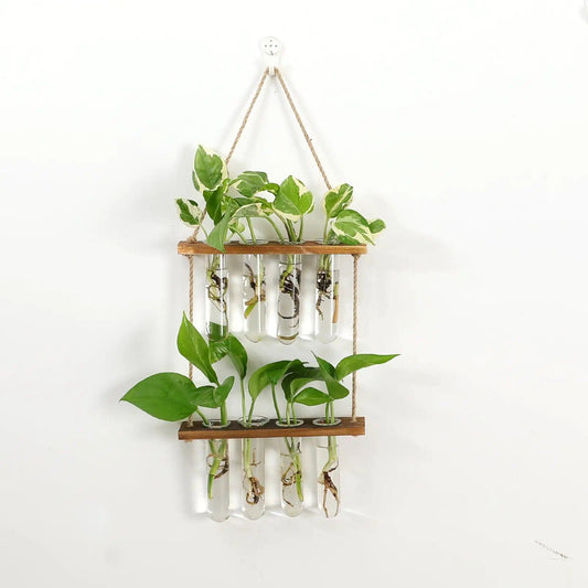 Wall Hanging Test Tube Propagation Station - K&L Trending Products