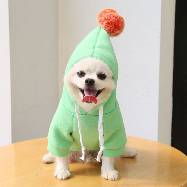 Fruit Pet Coat Hoodies - K&L Trending Products