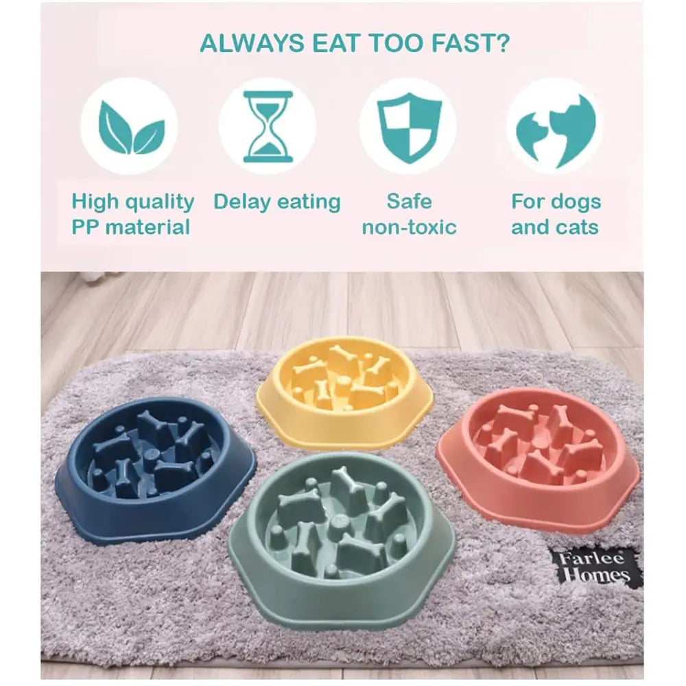 Slow Feeder Bone Design Pet Bowl - K&L Trending Products