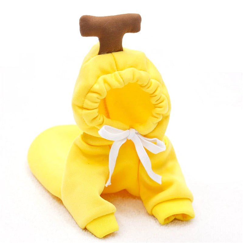 Puppy Tailored Fruitwear - K&L Trending Products