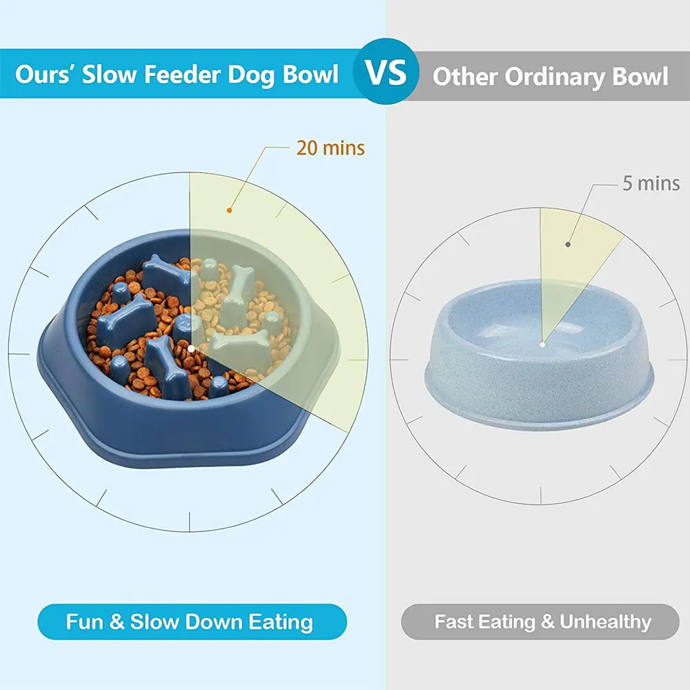 Slow Feeder Bone Design Pet Bowl - K&L Trending Products