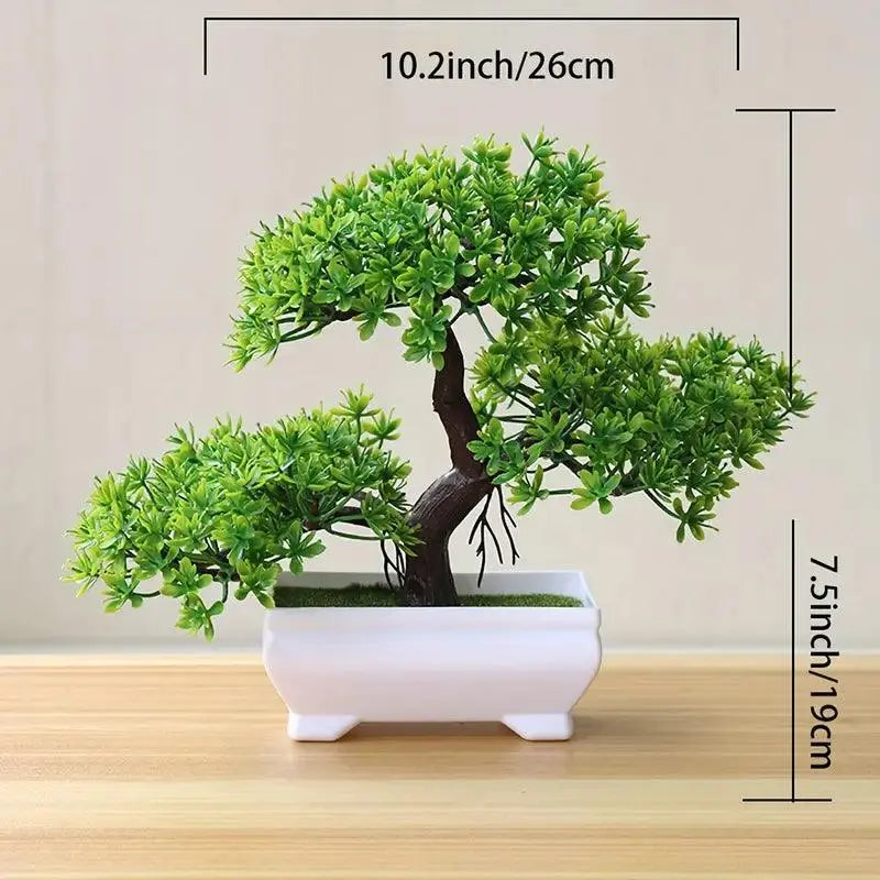 Small Bonsai Tree - K&L Trending Products