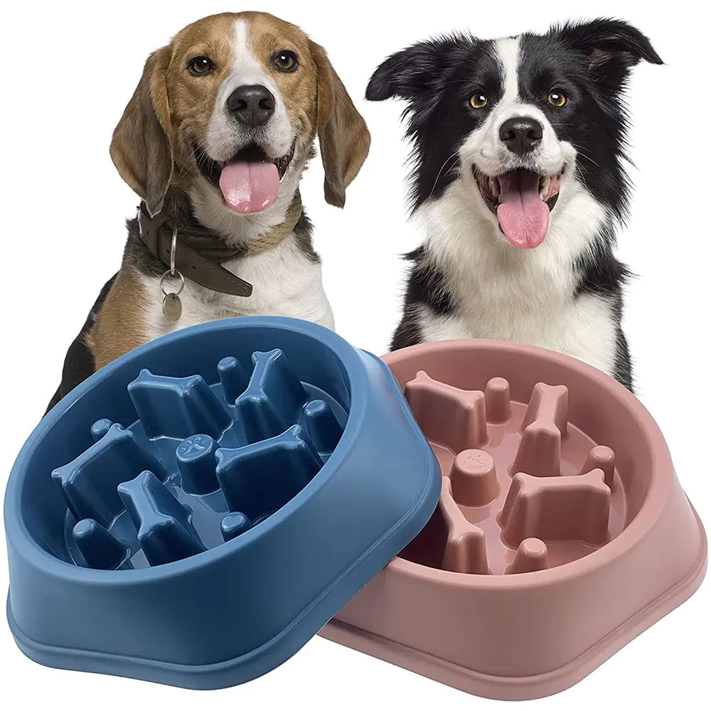 Slow Feeder Bone Design Pet Bowl - K&L Trending Products