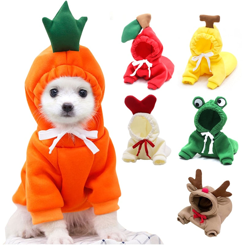 Puppy Tailored Fruitwear - K&L Trending Products