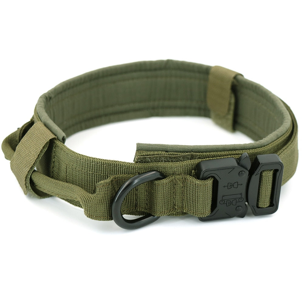 Dog Collar - K&L Trending Products