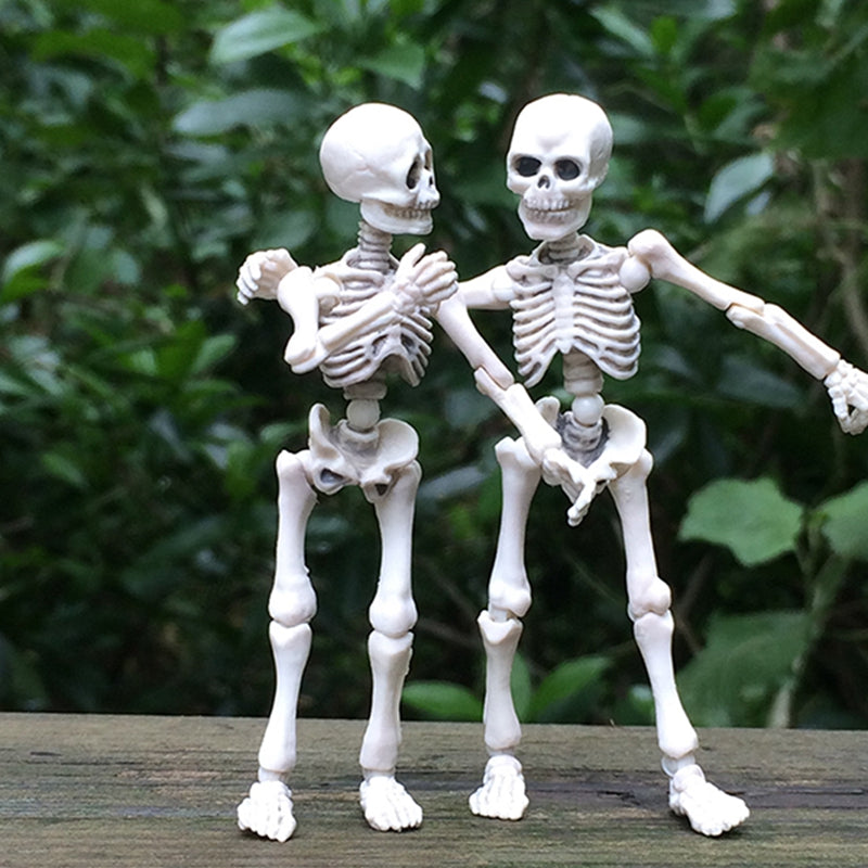 Movable Mr. Bones Skeleton - K&L Trending Products