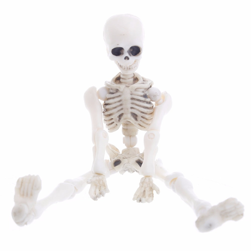 Movable Mr. Bones Skeleton - K&L Trending Products