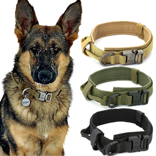 Dog Collar - K&L Trending Products