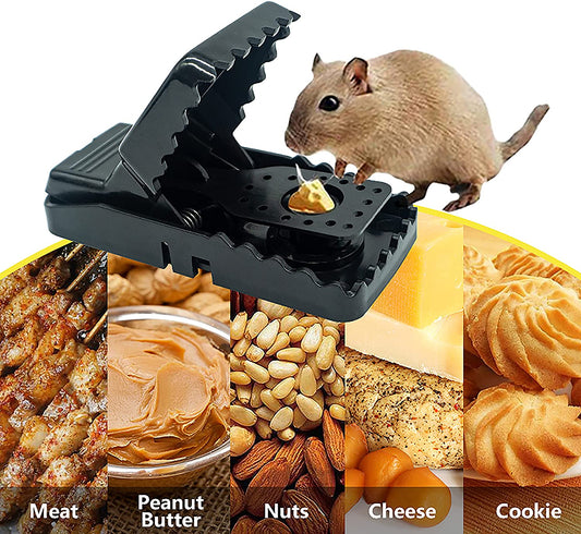 6pcs Reusable Mouse Traps - K&L Trending Products