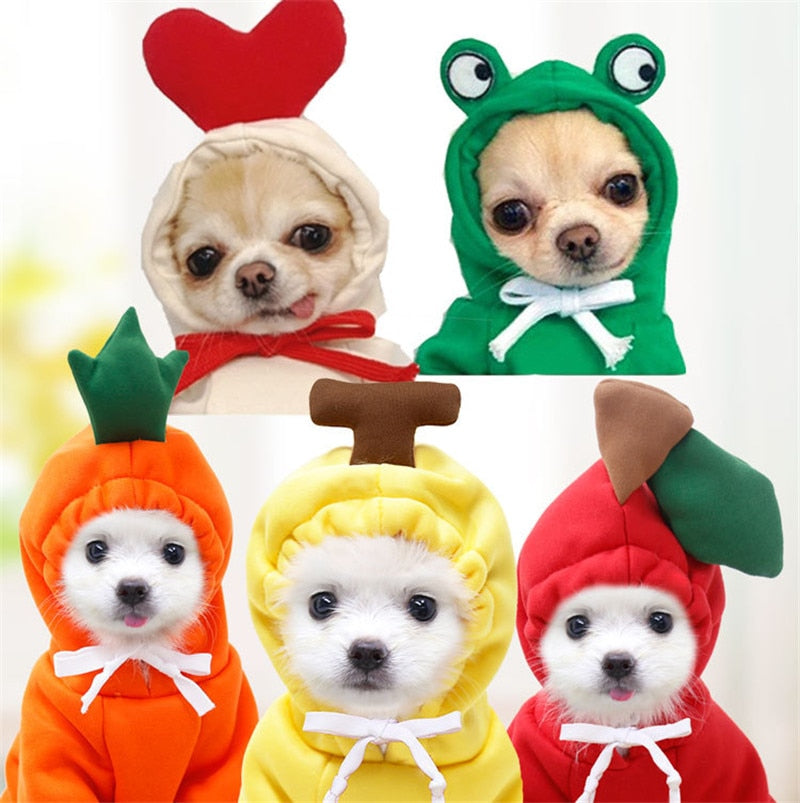 Fruit Pet Coat Hoodies - K&L Trending Products