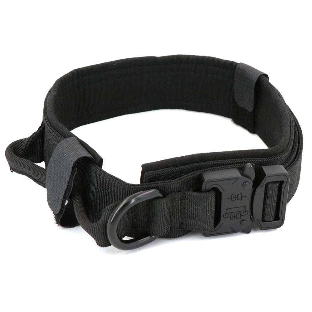 Dog Collar - K&L Trending Products