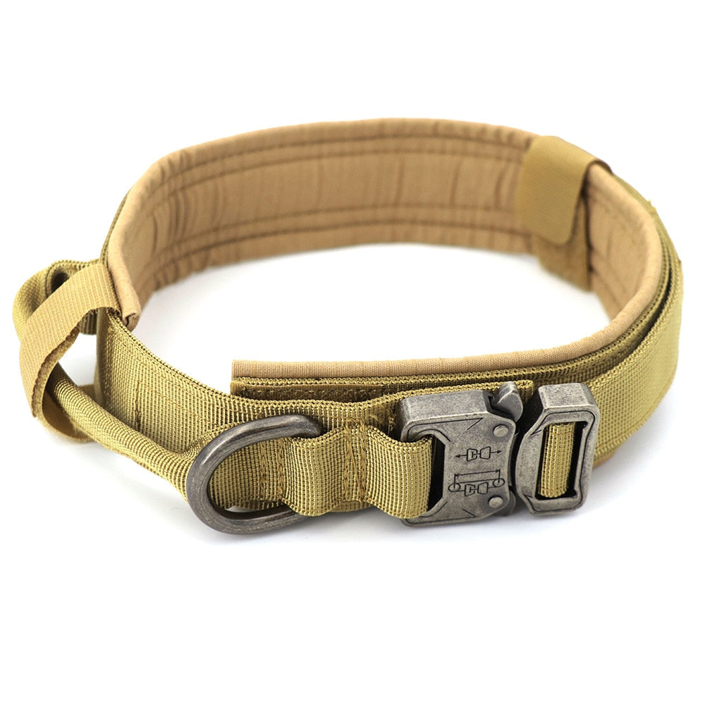 Dog Collar - K&L Trending Products