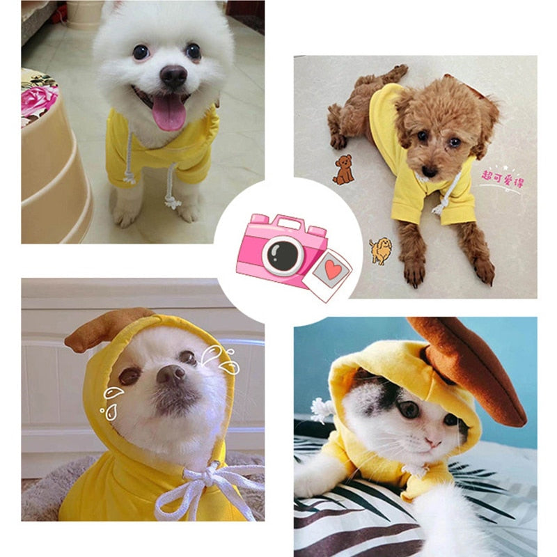 Fruit Pet Coat Hoodies - K&L Trending Products