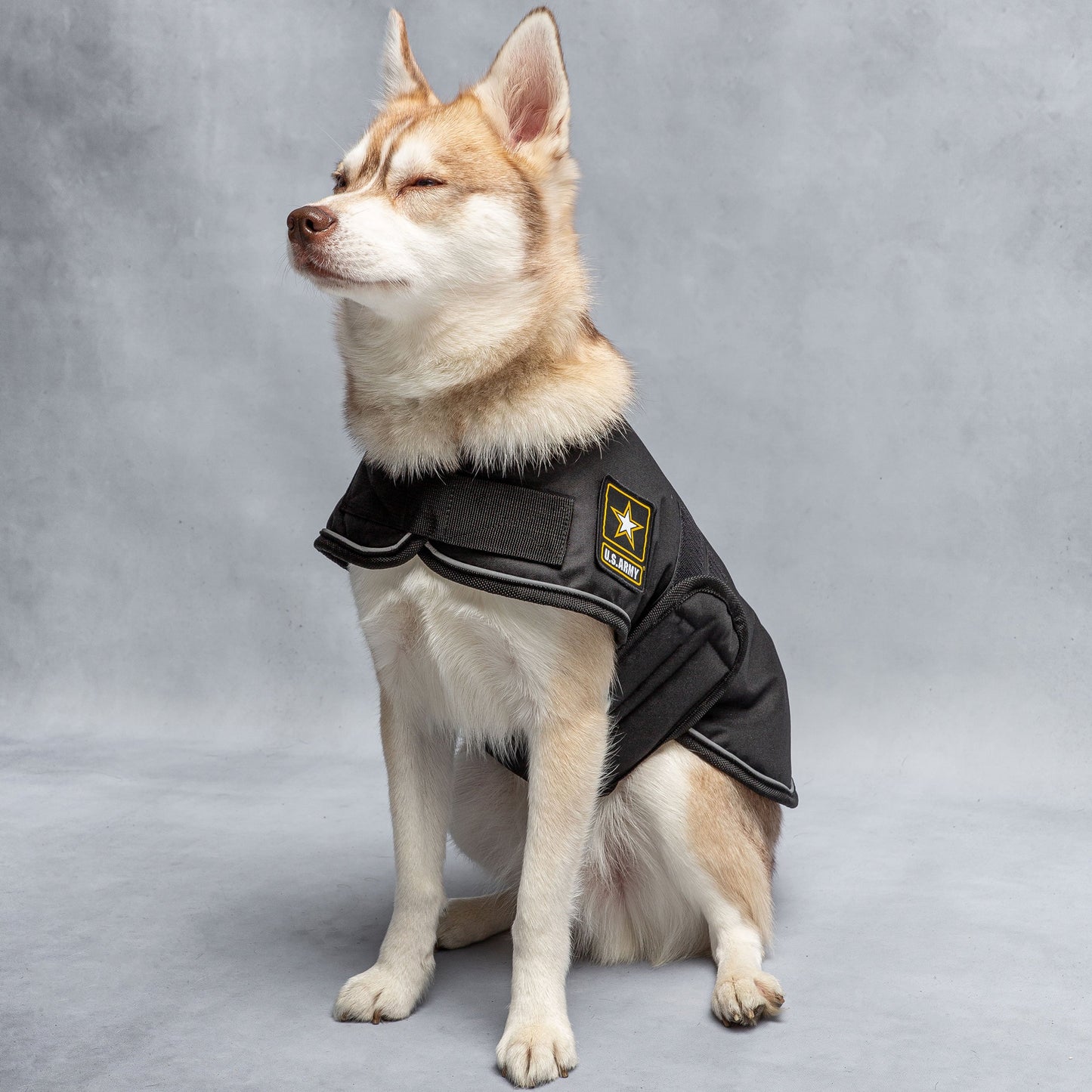 Army Dog Blanket Jacket - K&L Trending Products