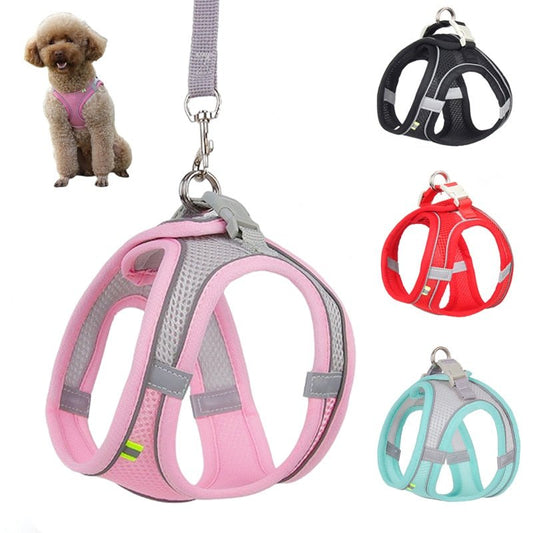 Dog Harness Leash Set for Small Dogs - K&L Trending Products