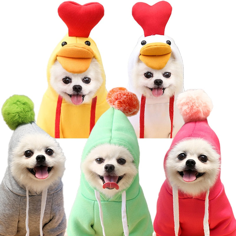 Fruit Pet Coat Hoodies - K&L Trending Products