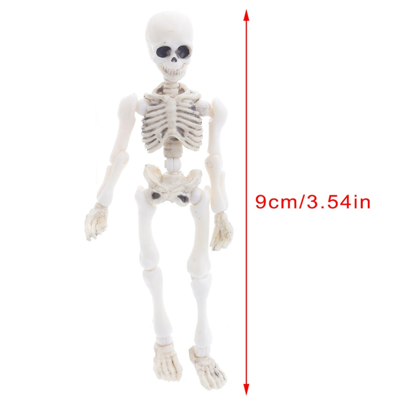 Movable Mr. Bones Skeleton - K&L Trending Products