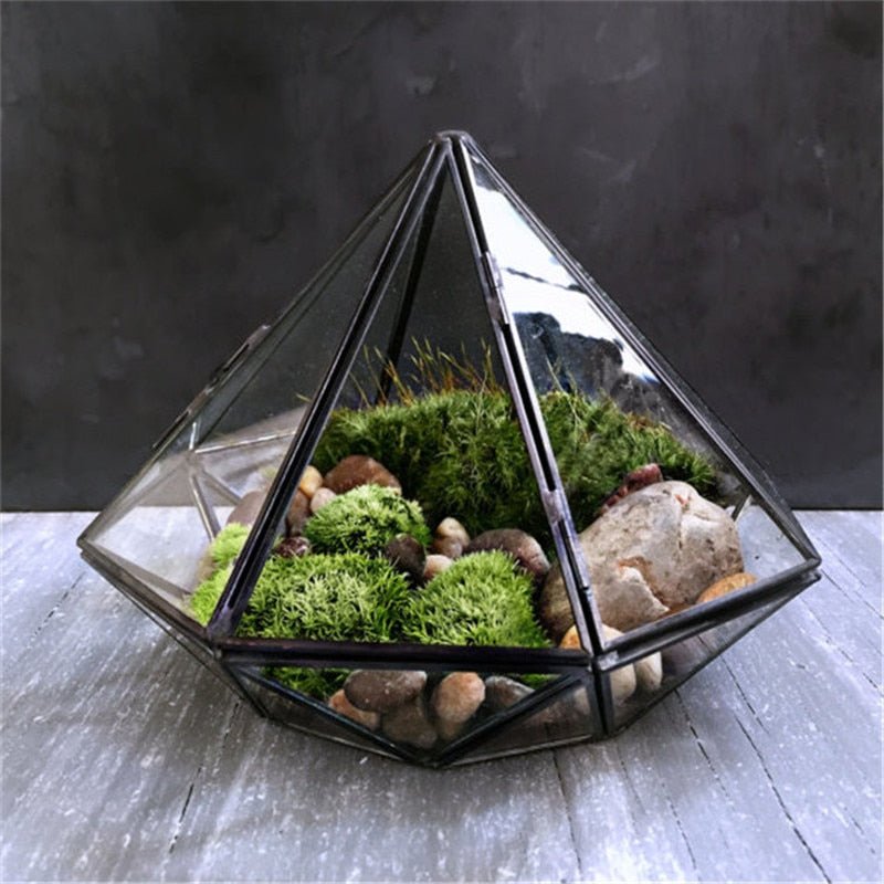 Glass Terrarium - K&L Trending Products