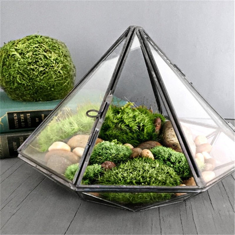 Glass Terrarium - K&L Trending Products