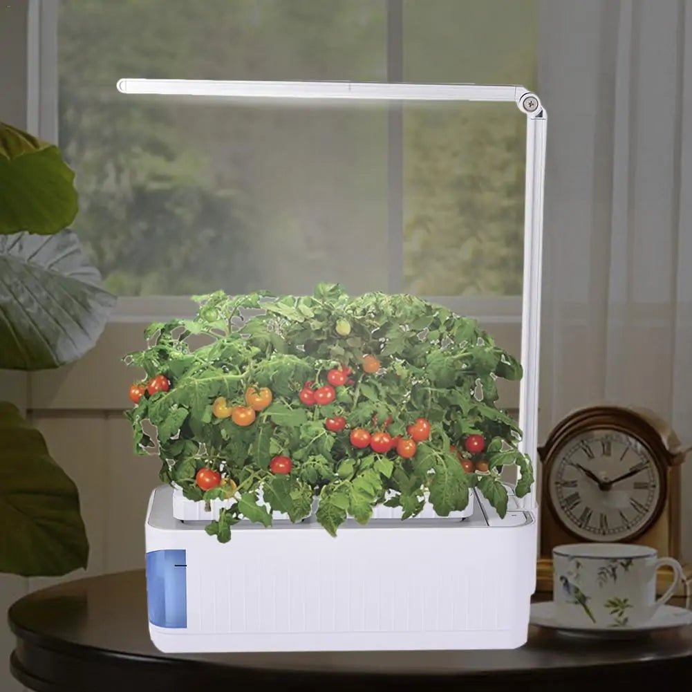 Hydroponic Indoor Herb Garden Kit - K&L Trending Products