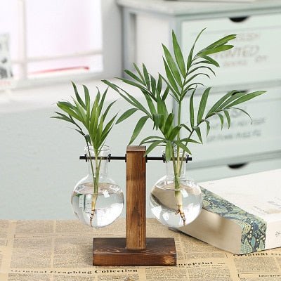 Hydroponic Transparent Plant Vases - K&L Trending Products