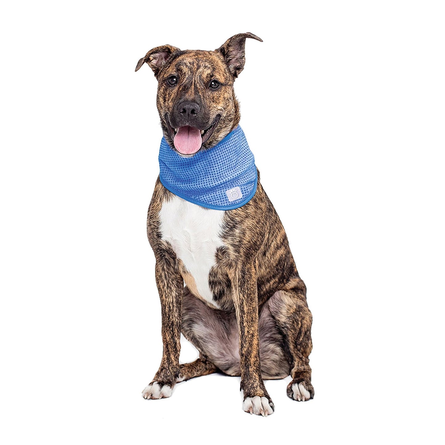 ICE BAND - Dog Cooling Bandana - K&L Trending Products