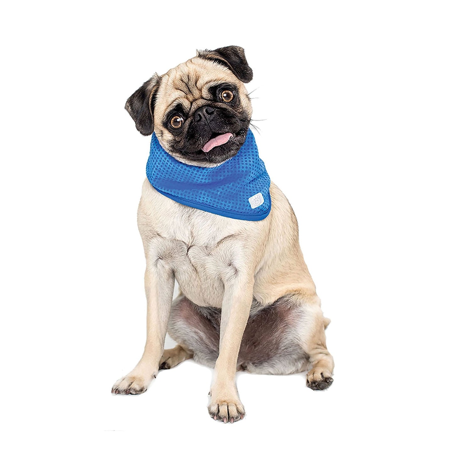 ICE BAND - Dog Cooling Bandana - K&L Trending Products