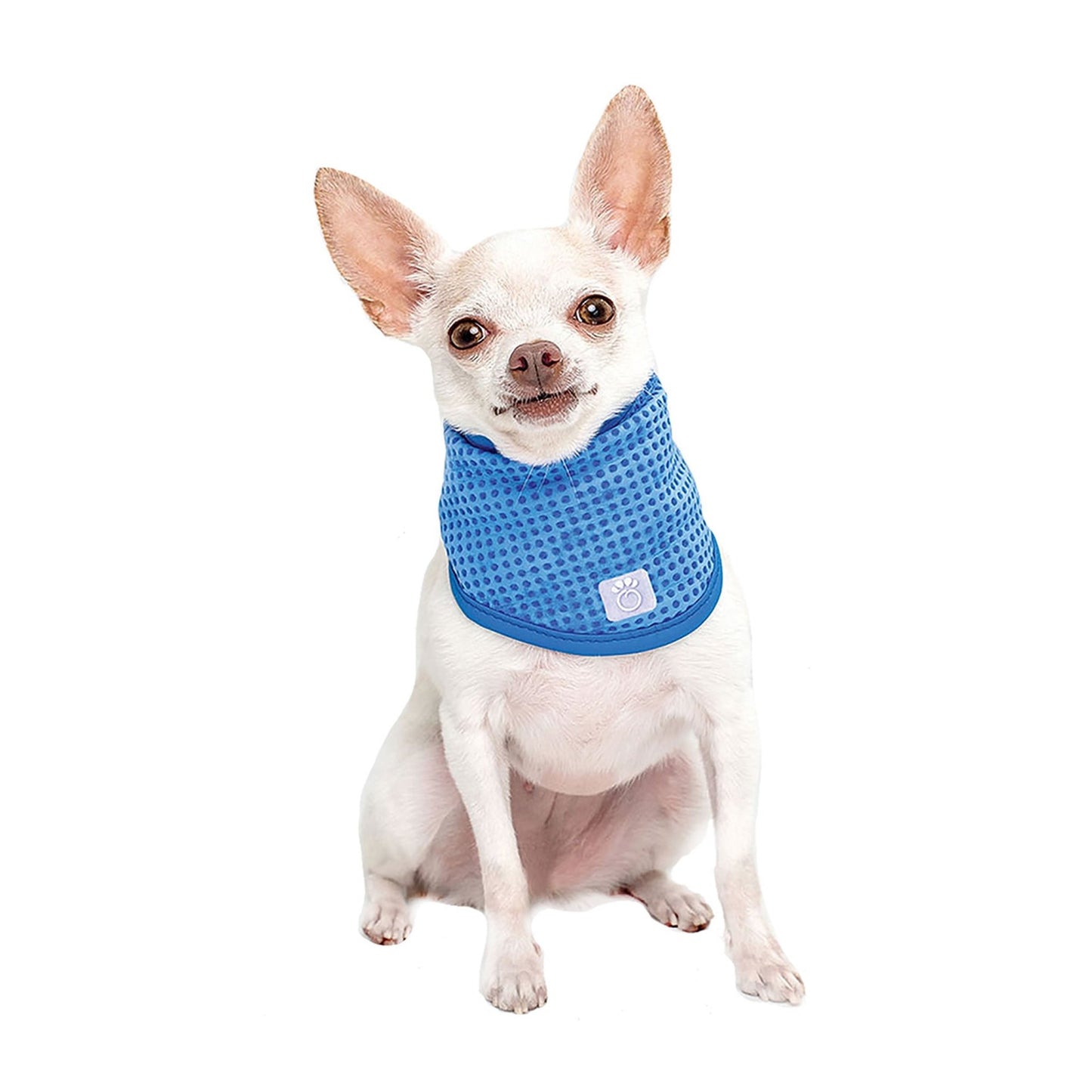 ICE BAND - Dog Cooling Bandana - K&L Trending Products