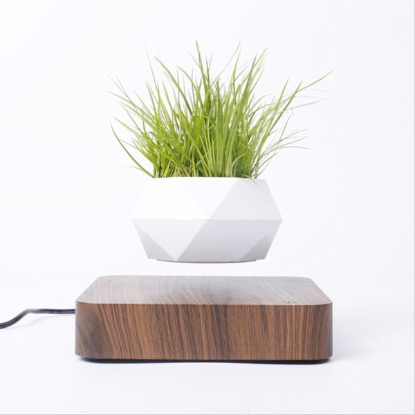 Levitating Air Bonsai Pot - K&L Trending Products