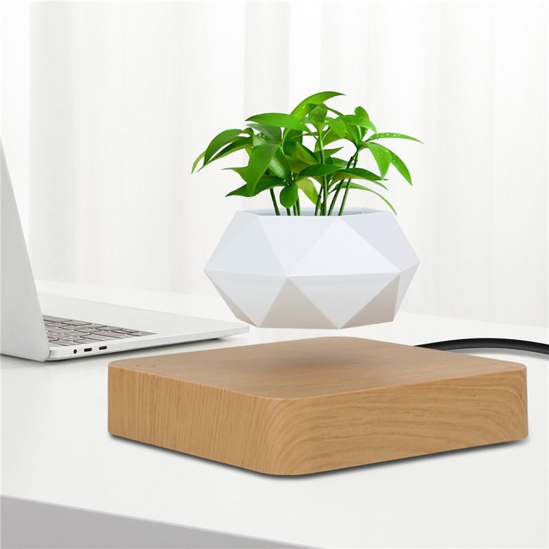 Levitating Air Bonsai Pot - K&L Trending Products