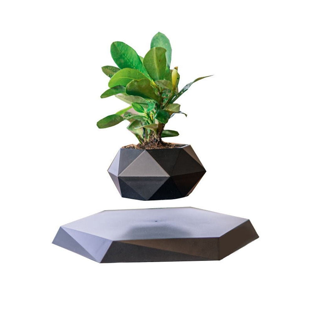 Levitating Air Bonsai Pot - K&L Trending Products