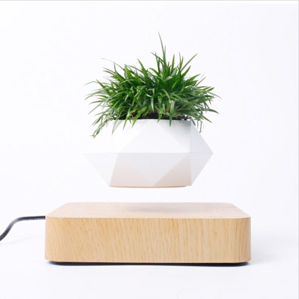 Levitating Air Bonsai Pot - K&L Trending Products