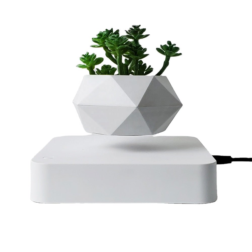 Levitating Air Bonsai Pot - K&L Trending Products