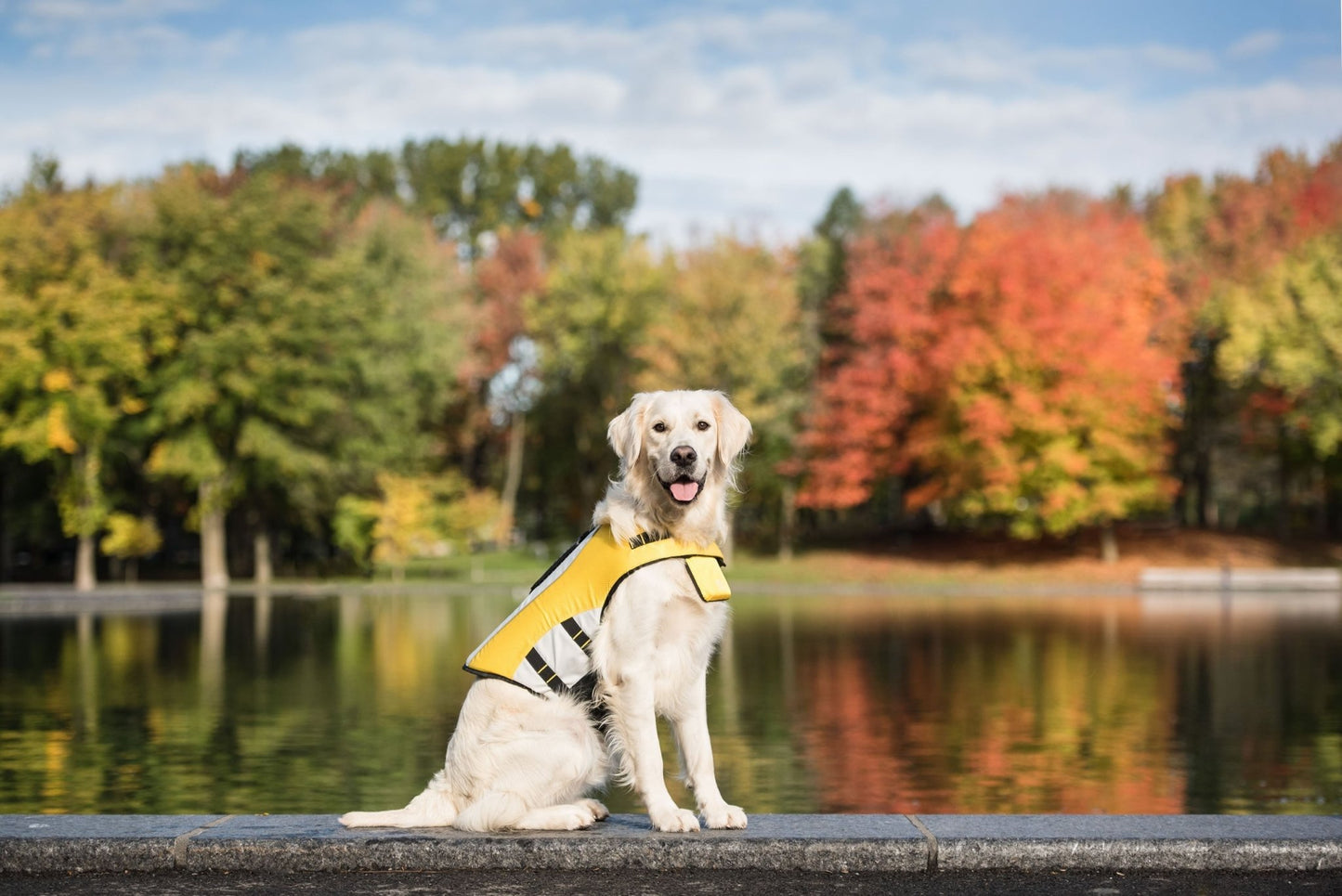 Life Vest - Dog Life Jacket - K&L Trending Products