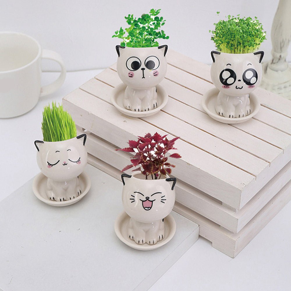 Mini Cat Shaped Cartoon Ceramic Flowerpot - K&L Trending Products