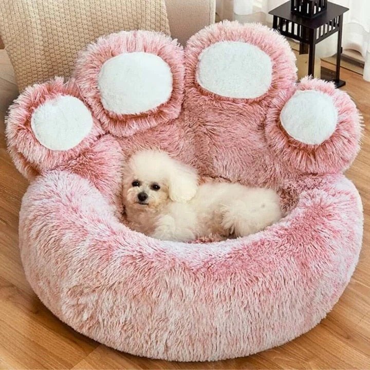 Pet Bear Paw Shape House Bed - K&L Trending Products